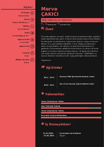 Laboratuvar Teknisyeni Cv Örnekleri cv indir